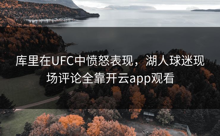 库里在UFC中愤怒表现，湖人球迷现场评论全靠开云app观看